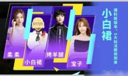 吃鸡主播新爆料视频大全,揭秘游戏幕后真相与精彩瞬间